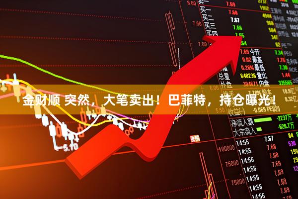 金财顺 突然，大笔卖出！巴菲特，持仓曝光！