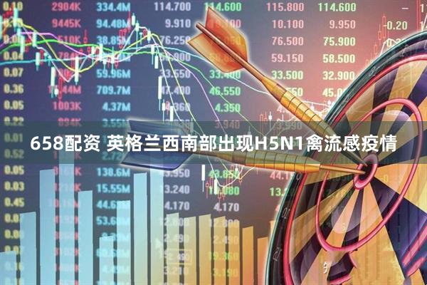 658配资 英格兰西南部出现H5N1禽流感疫情