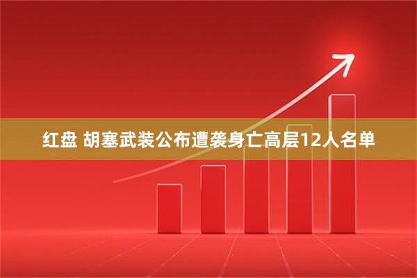 红盘 胡塞武装公布遭袭身亡高层12人名单