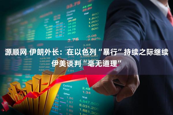 源顺网 伊朗外长：在以色列“暴行”持续之际继续伊美谈判“毫无道理”
